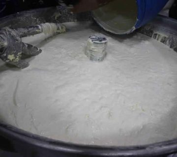 Şanlı Urfa Sade Yağ